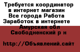 Требуется координатор в интернет-магазин - Все города Работа » Заработок в интернете   . Амурская обл.,Свободненский р-н